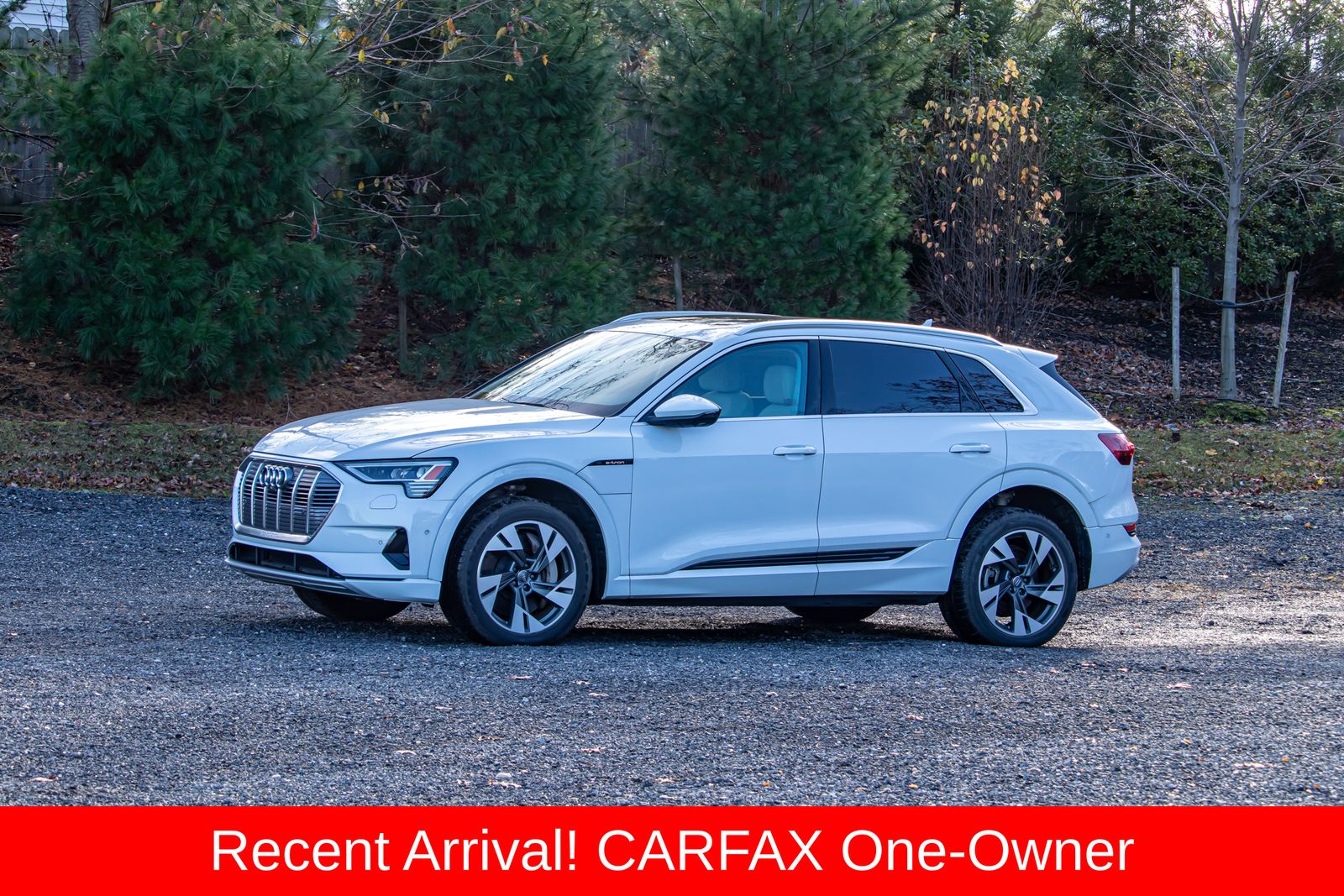 2021 Audi e-tron Premium Plus photo 3