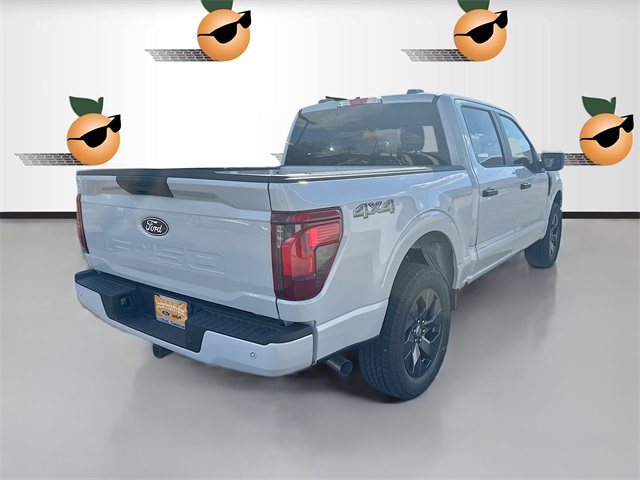 2025 Ford F-150 STX photo 3