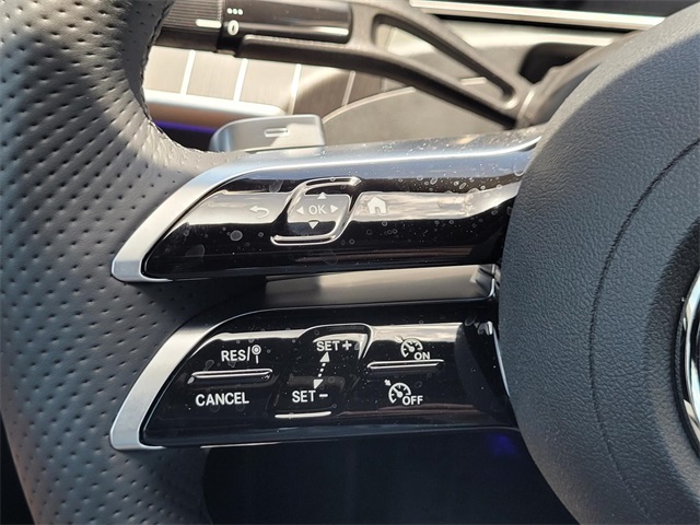 2025 Mercedes Benz C 300 photo 15