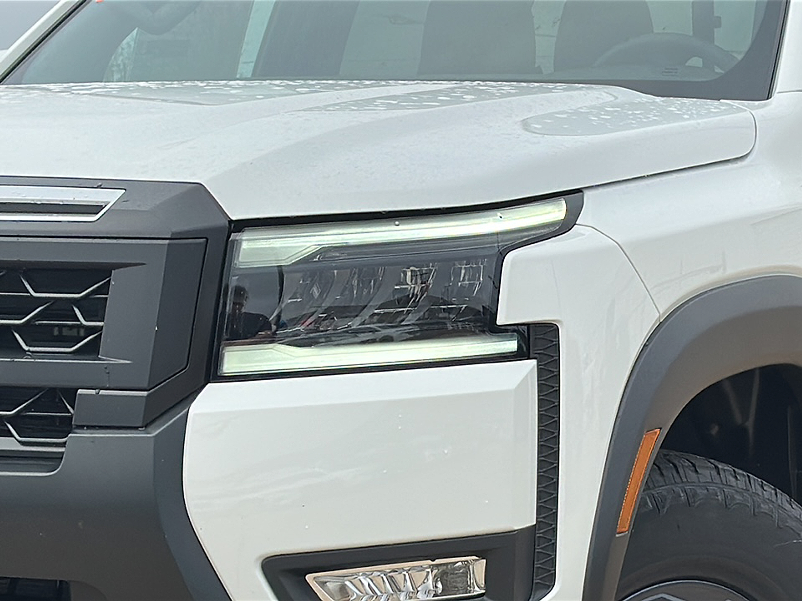 2026 Nissan Frontier Crew Cab PRO-4X photo 3