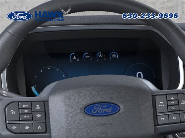2025 FORD F-150 - Image 13