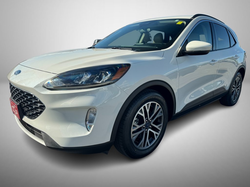 2020 Ford Escape SEL photo 2