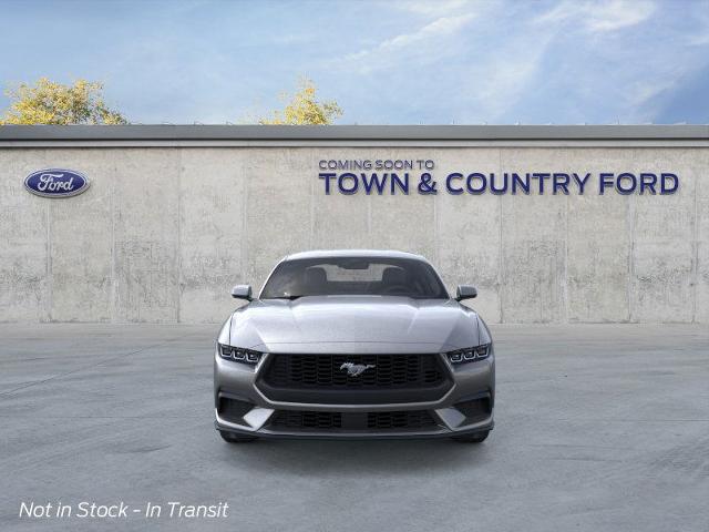 2025 Ford Mustang EcoBoost photo 16