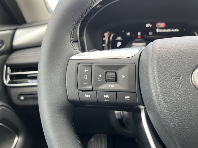 2026 Infiniti QX60 Luxe photo 14