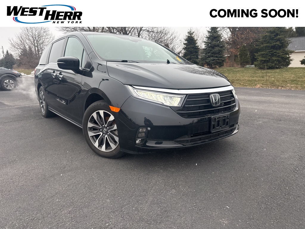 2024 Honda Odyssey EX-L's photo