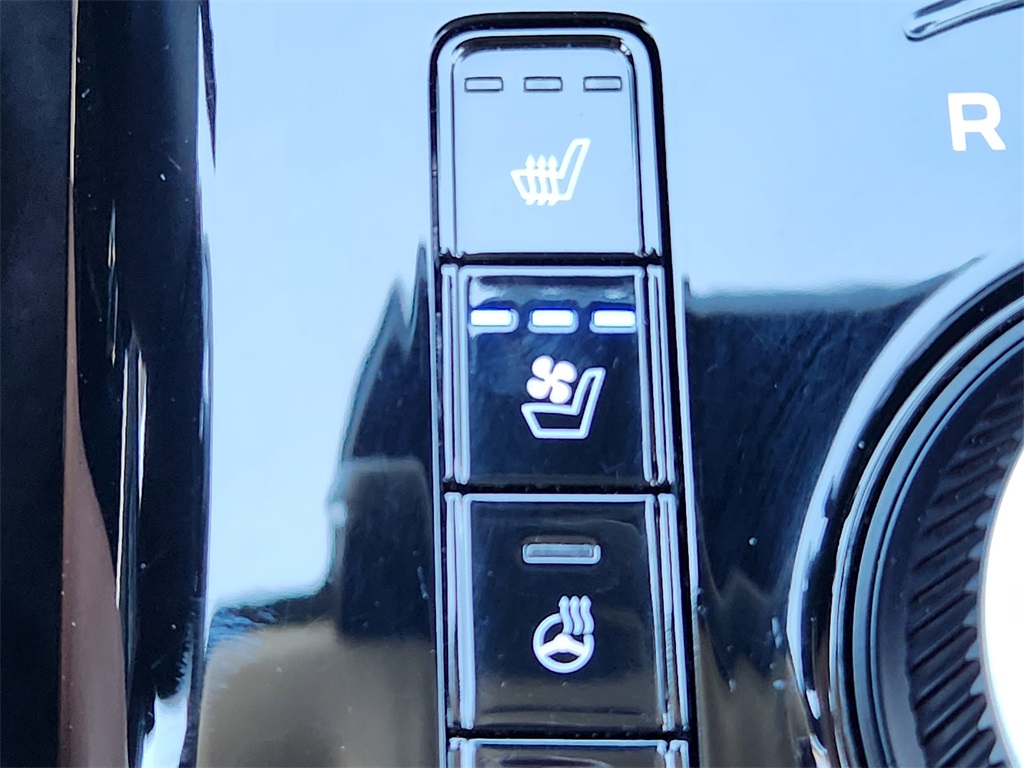 2024 Kia Niro EV Wave photo 24
