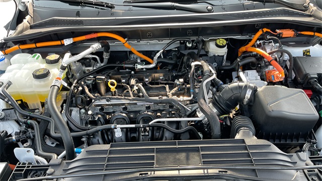 2024 FORD ESCAPE - Image 30