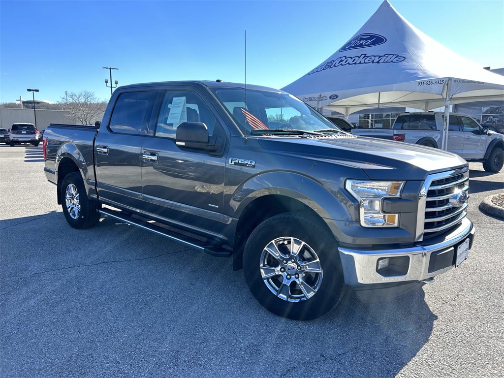 2015 Ford F-150 XLT's photo