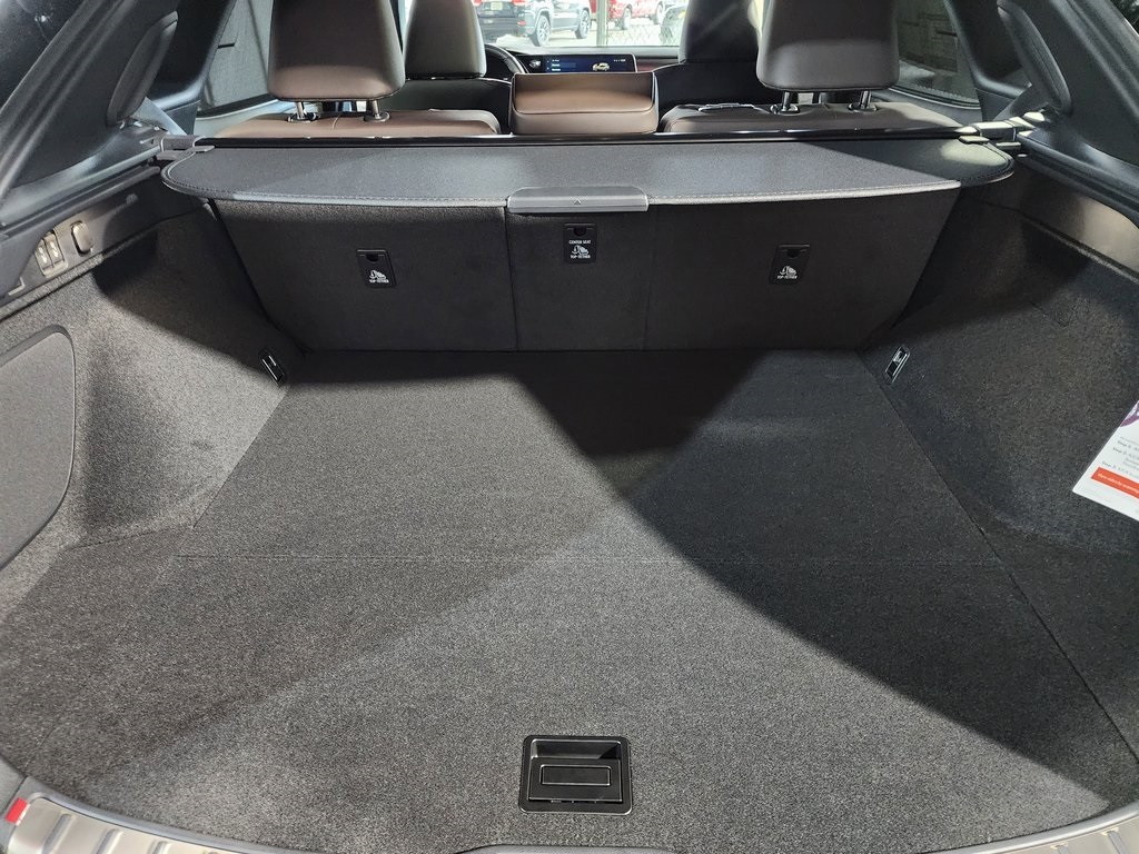 2025 Lexus RX 450h+ Luxury photo 27