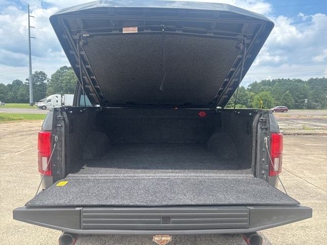 2019 Ford F-150 Lariat photo 31