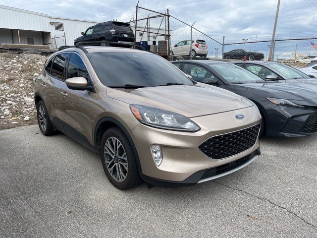 2020 Ford Escape SEL photo 3