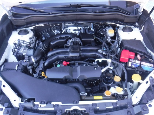 View 6