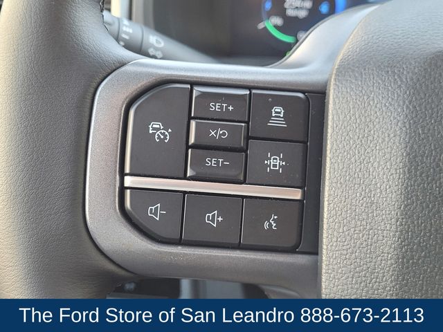 2025 Ford F-150 Lightning photo 20