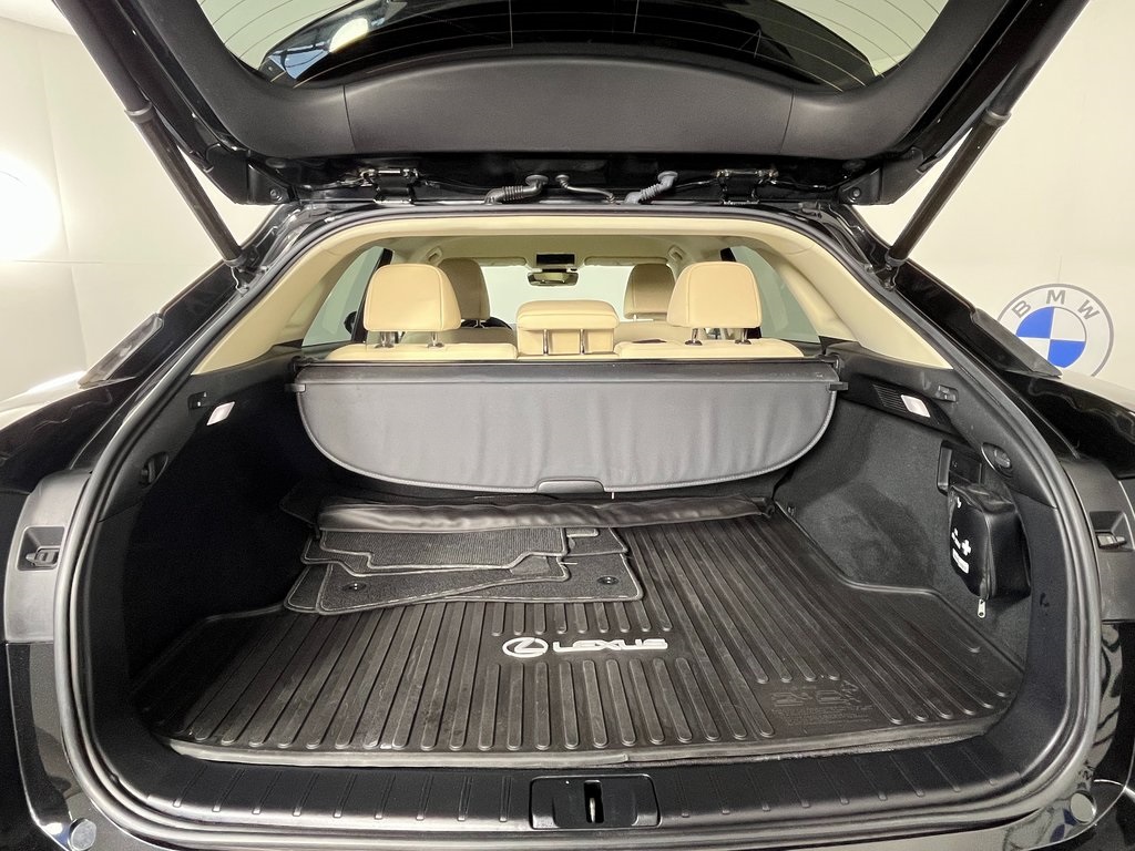 2021 Lexus RX 350 photo 9