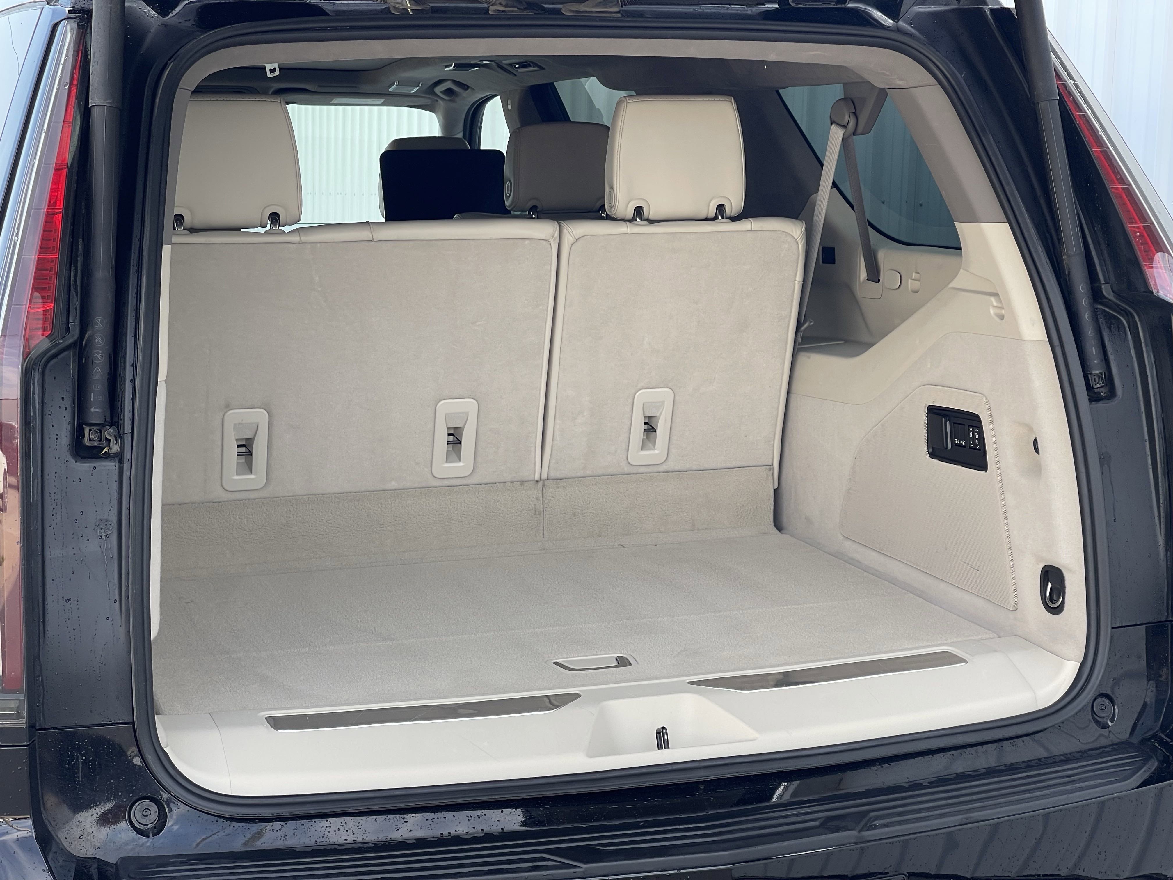 2021 Cadillac Escalade ESV Premium Luxury Platinum photo 6