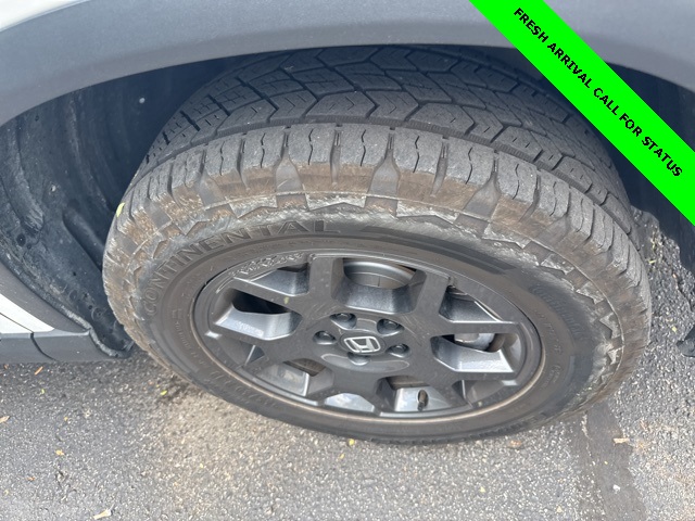2023 Honda Pilot TrailSport photo 4