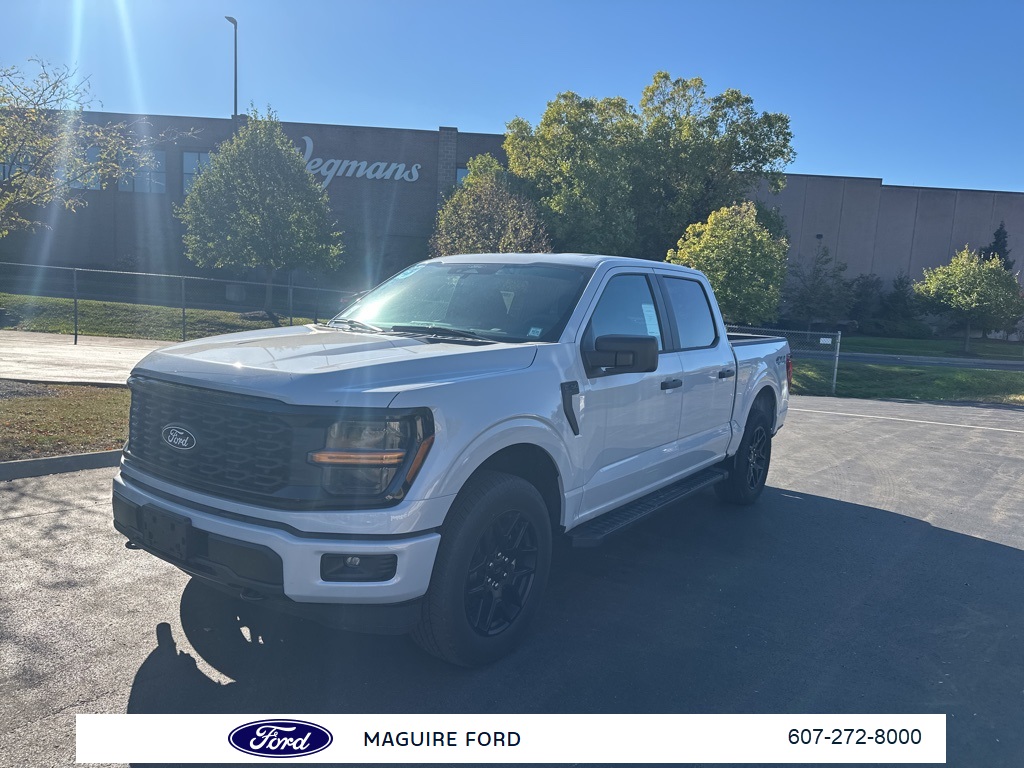 2025 Ford F-150 STX photo 8