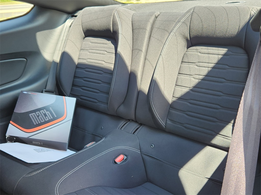 2021 Ford Mustang Mach 1 photo 11
