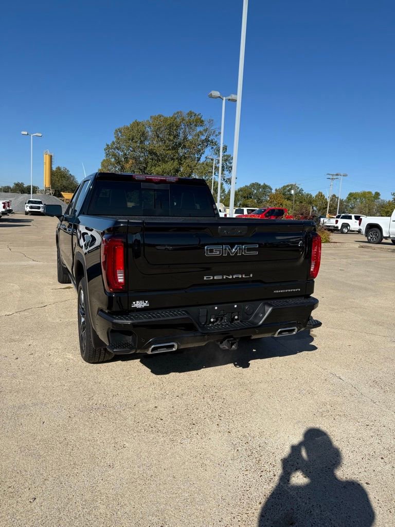 2023 Gmc Sierra 1500 Denali Ultimate photo 3
