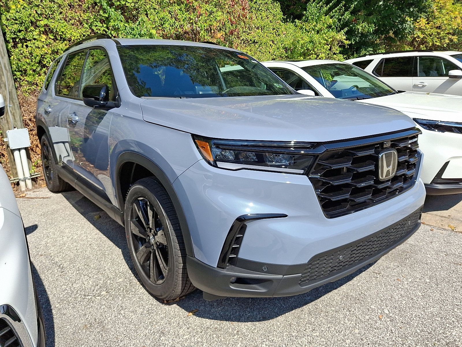 2025 Honda Pilot Black Edition photo 3