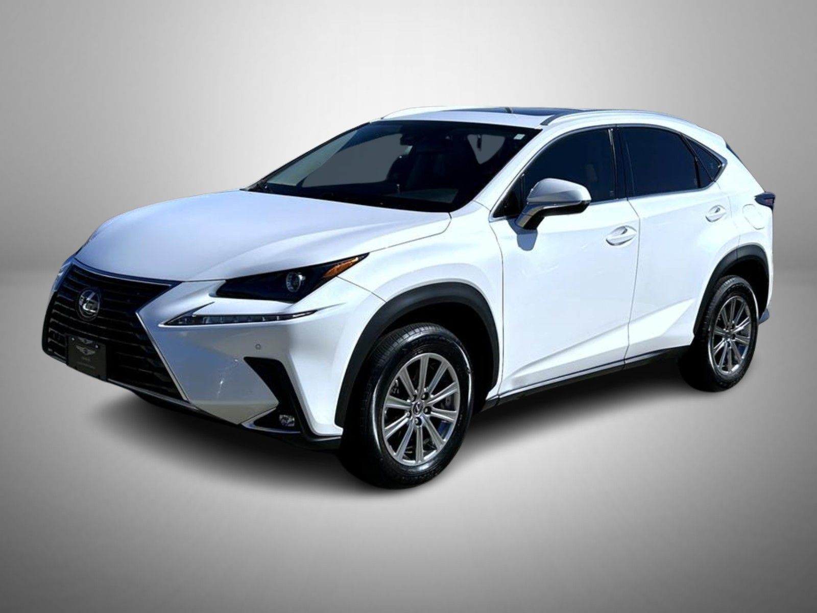 2021 Lexus NX 300's photo