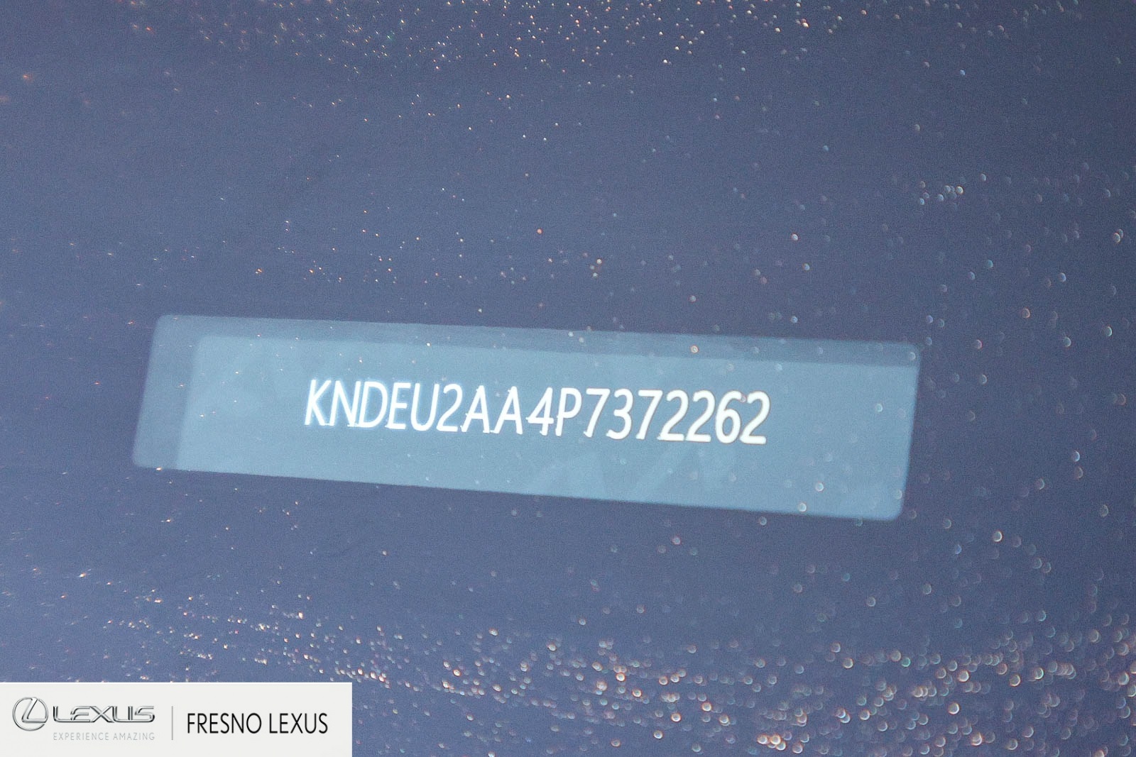 2023 Kia Seltos S photo 23