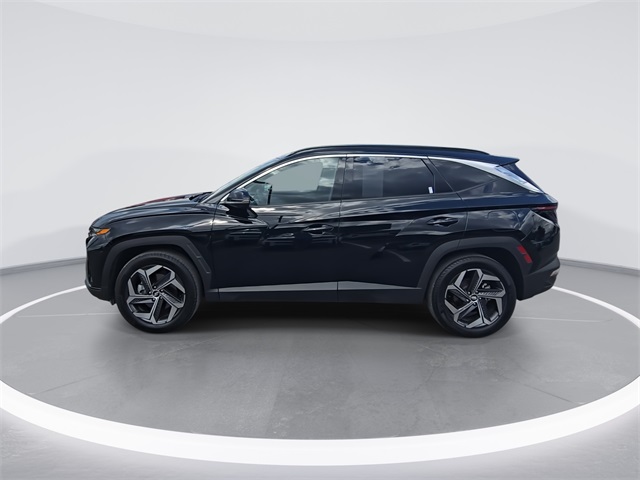 2024 Hyundai Tucson Limited photo 5