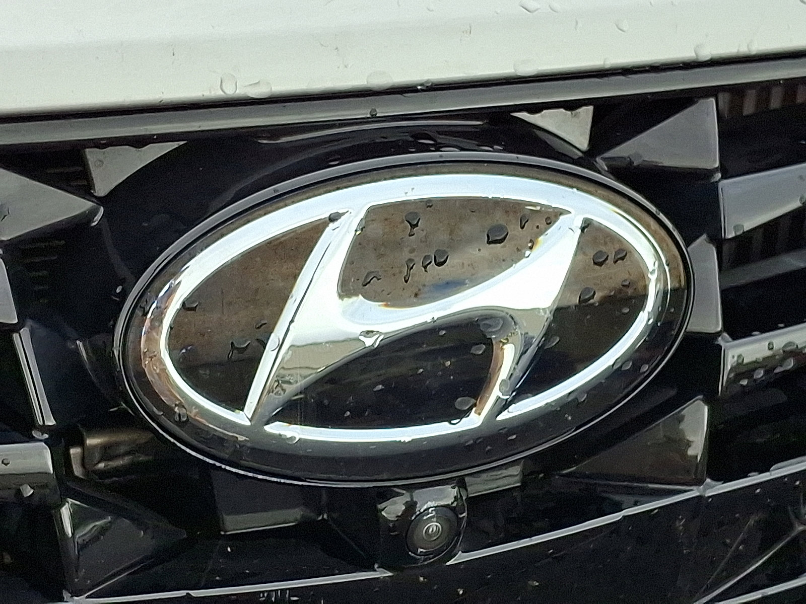 2020 Hyundai Sonata Limited photo 4