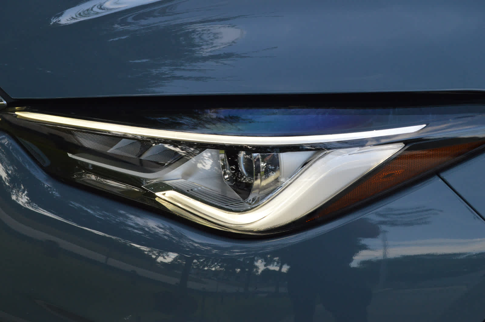 2023 Infiniti QX50 Luxe photo 6