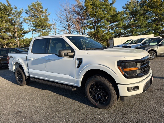 2025 Ford F-150 XLT's photo