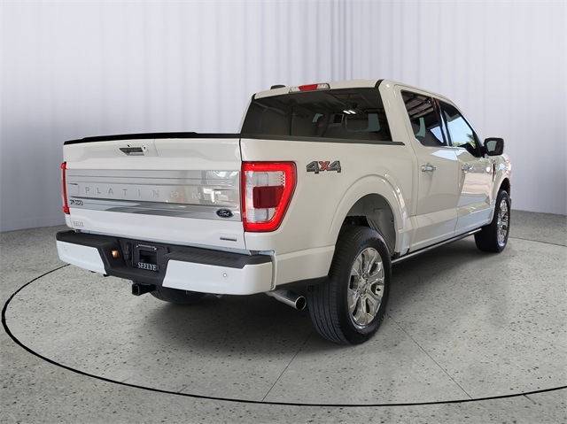 2023 Ford F-150 Platinum photo 2