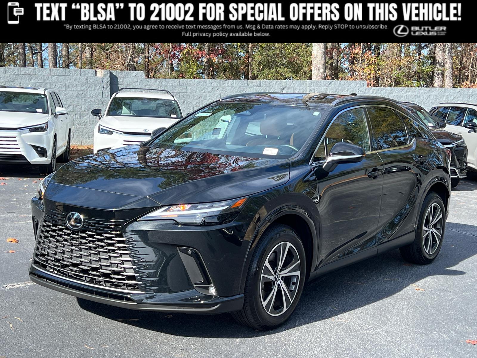 2025 Lexus RX 350's photo