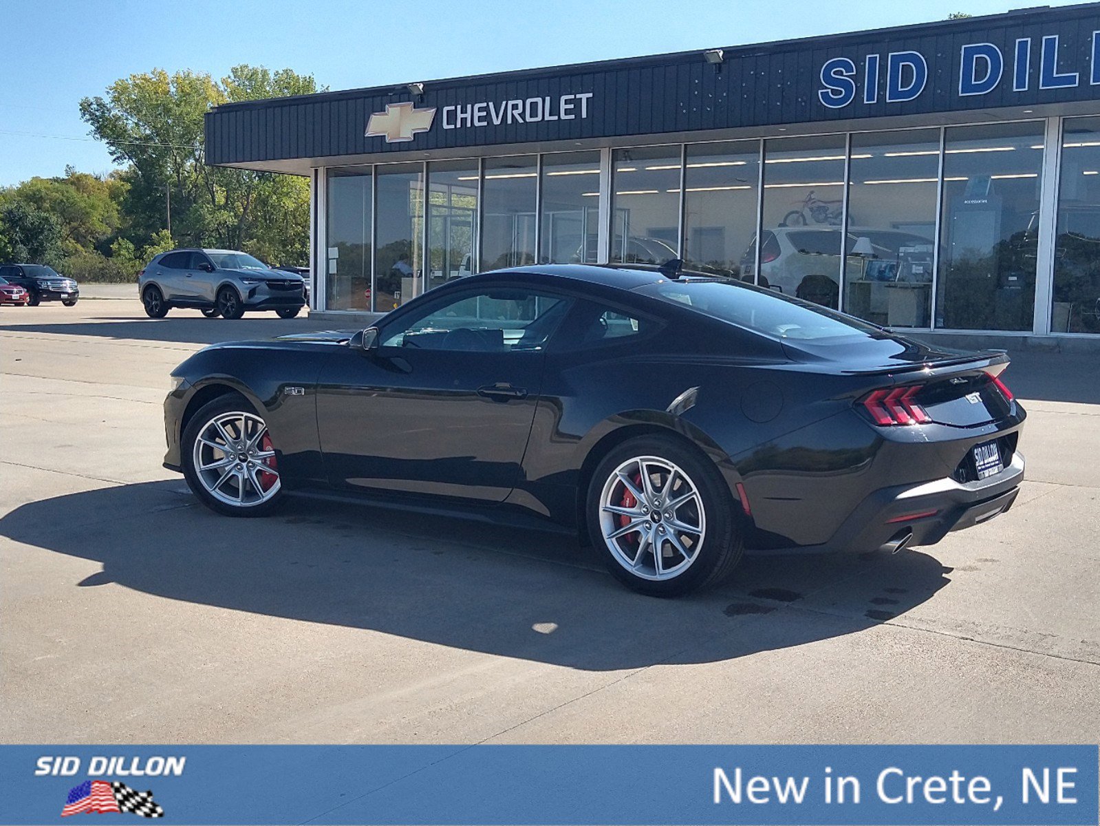 New 2024 Ford Mustang GT Premium Fastback Fastback in Wahoo 8F4877