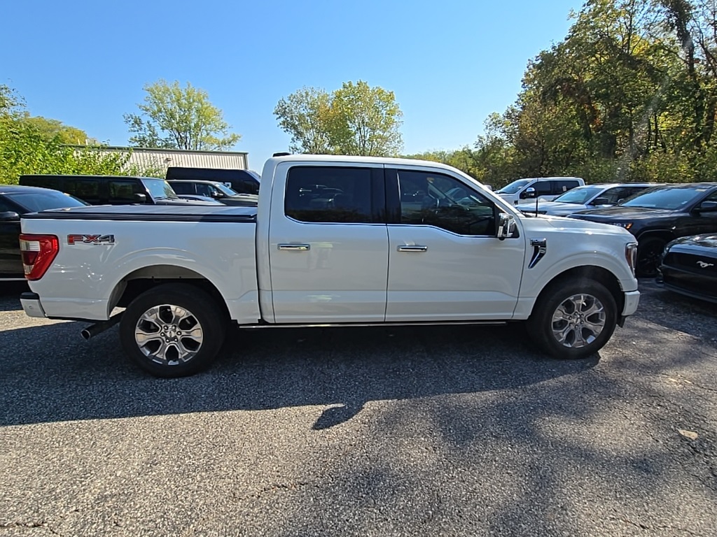 2023 Ford F-150 Platinum photo 9