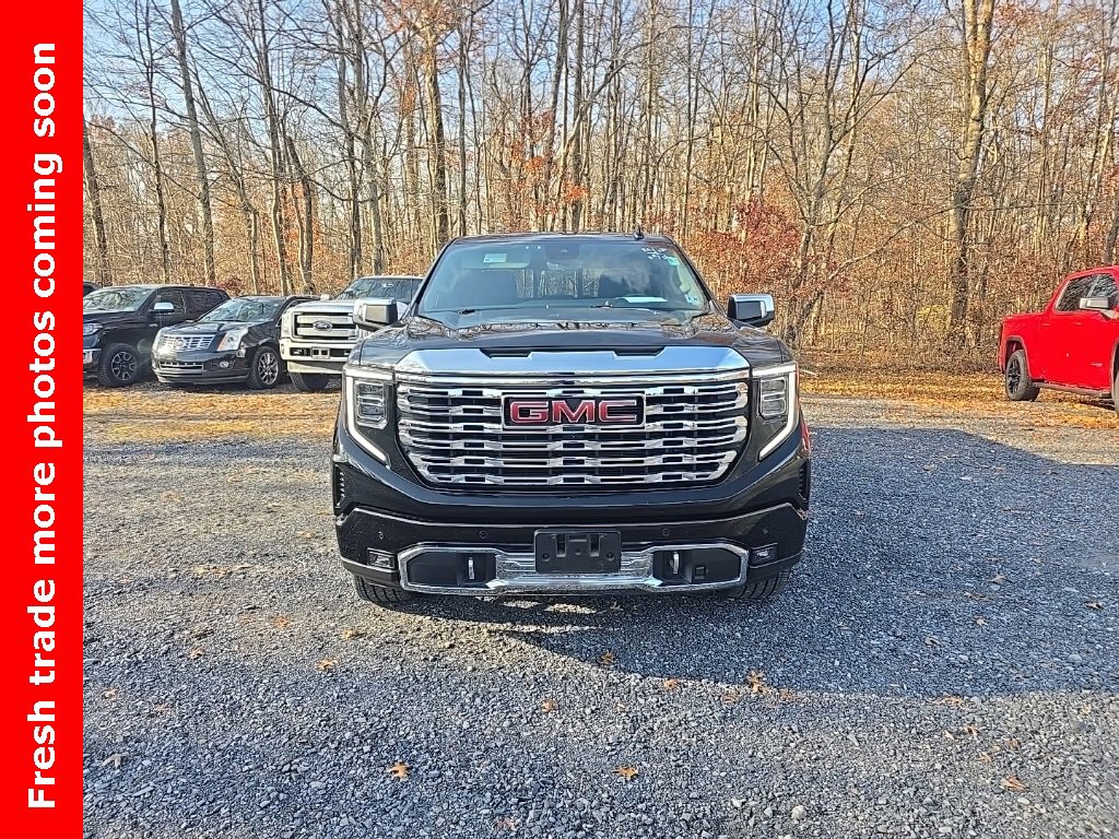 2024 Gmc Sierra 1500 Denali photo 3