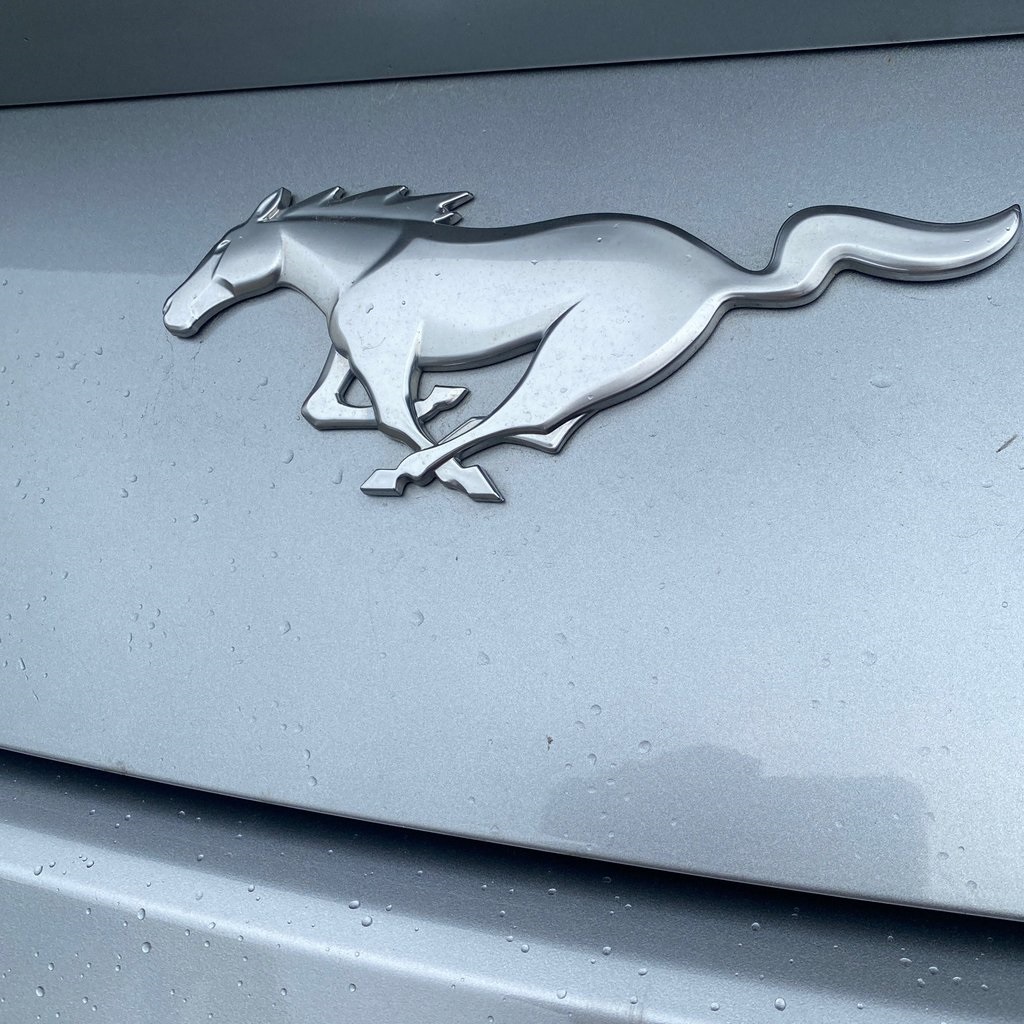 2024 Ford Mustang EcoBoost Premium photo 3