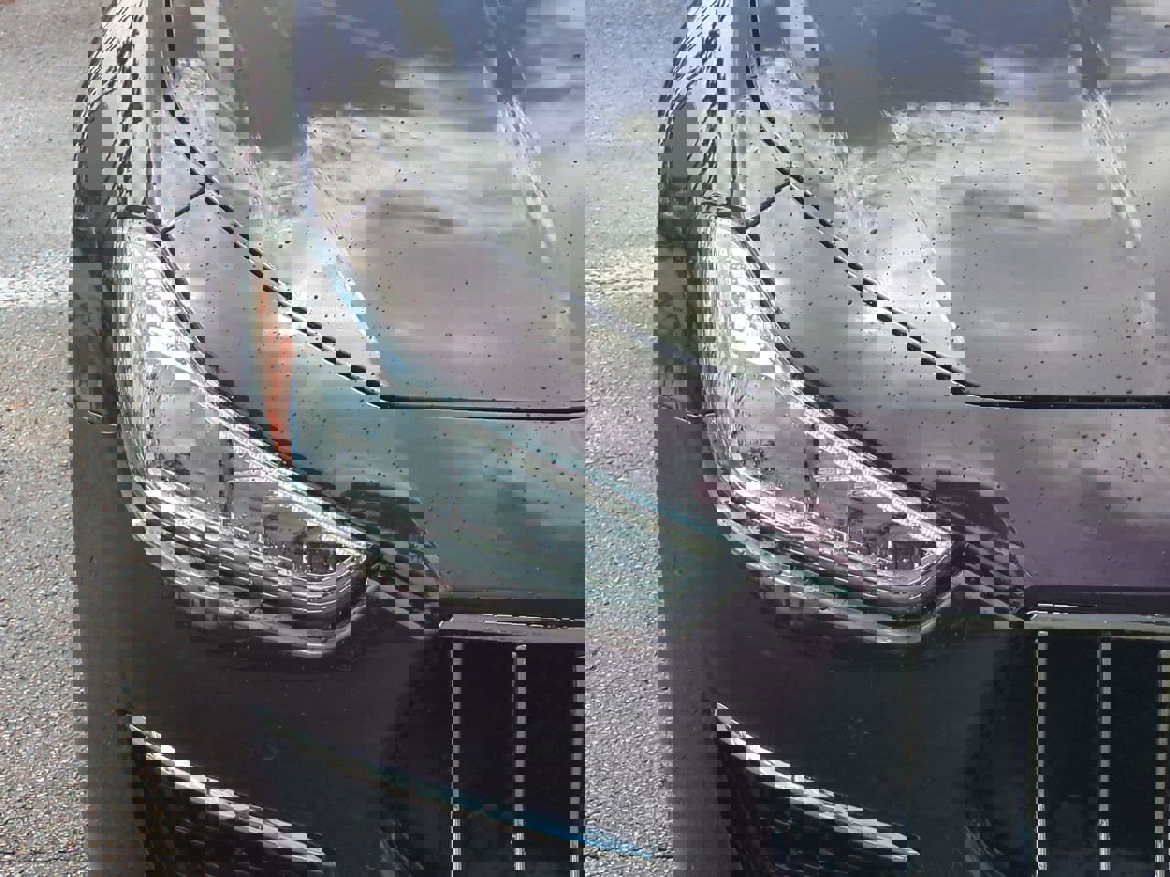 View 9