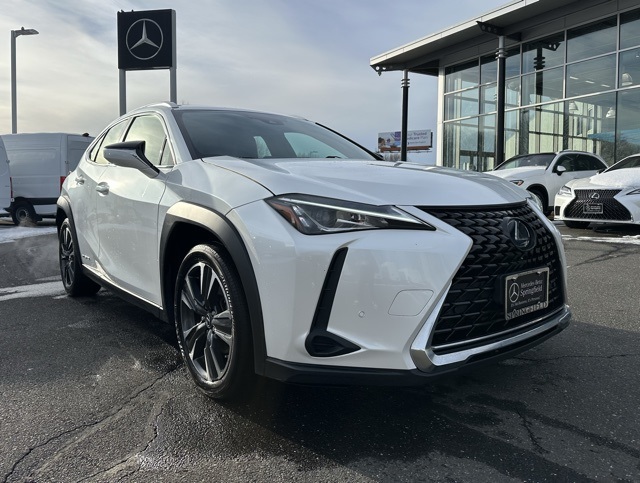 2020 Lexus UX Hybrid 250h's photo