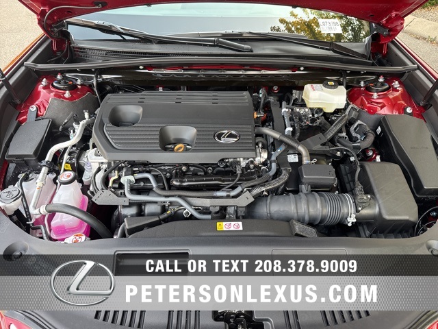 2025 Lexus ES 300h photo 10