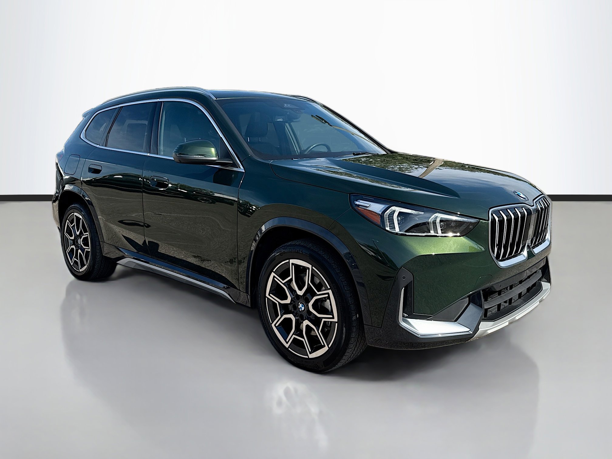2025 BMW X1 28i's photo