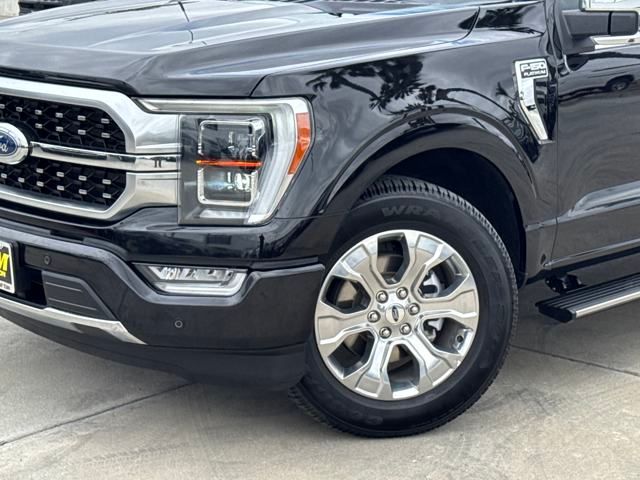 2023 Ford F-150 Platinum photo 3