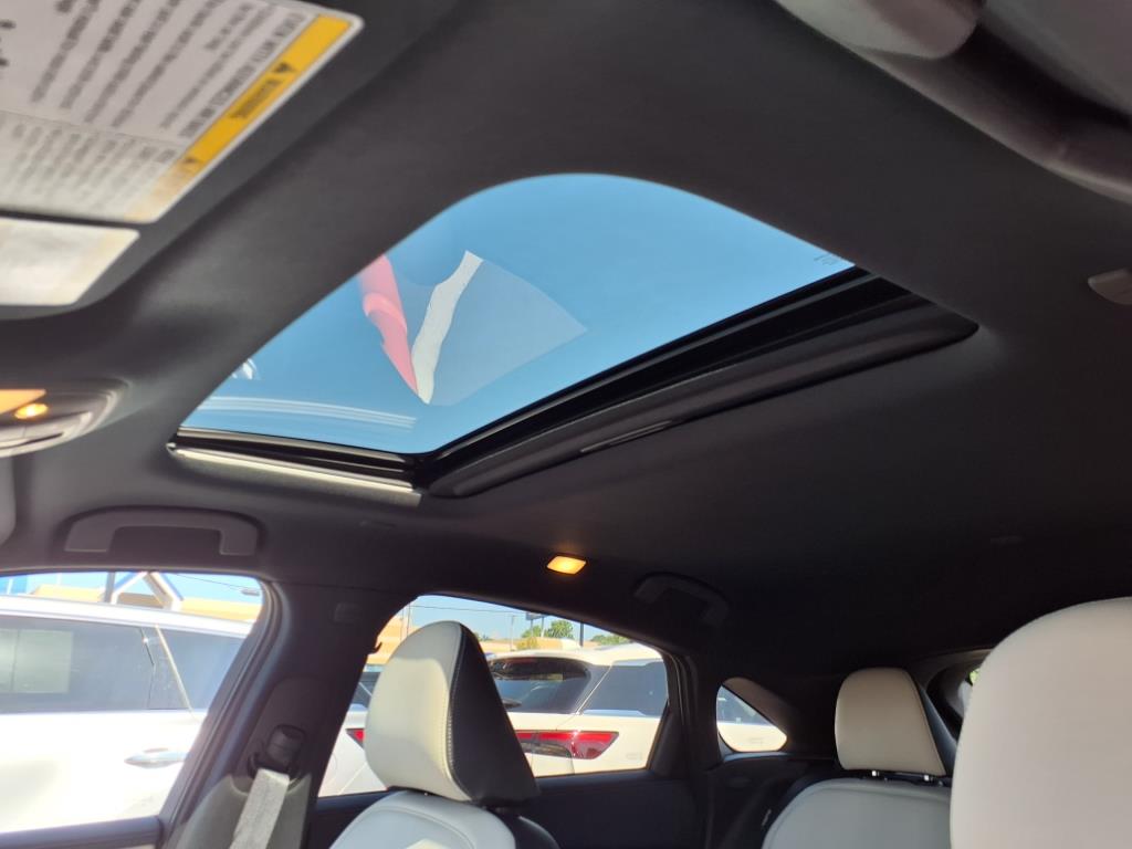 2025 Infiniti QX55 Luxe photo 17