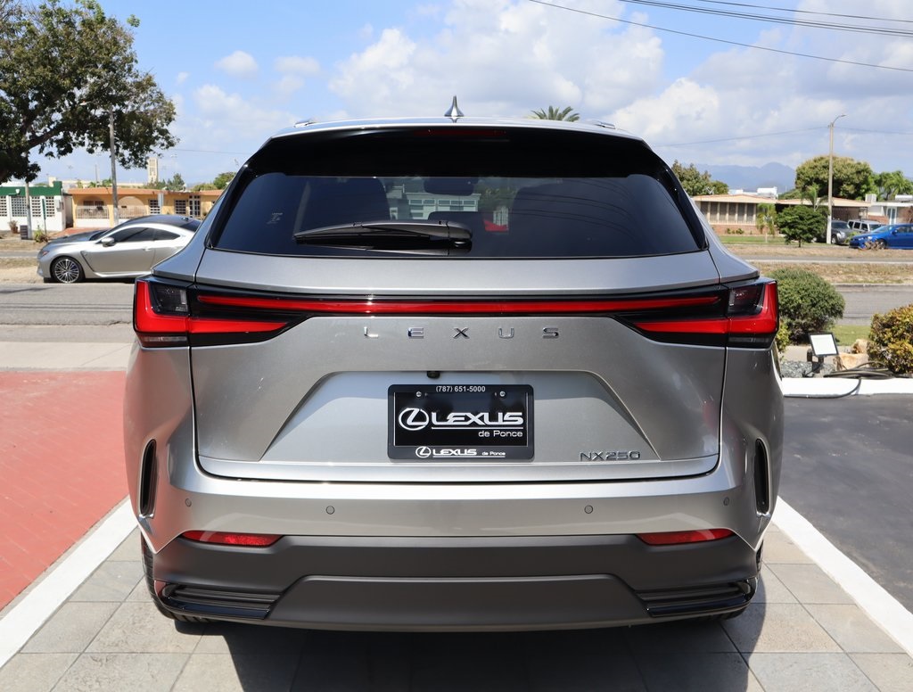 2025 Lexus NX 250 Premium photo 6