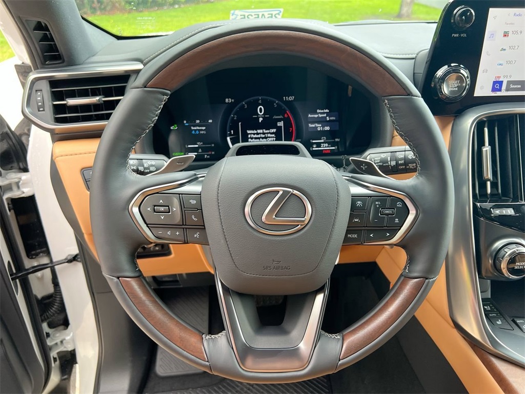 2025 Lexus LX Luxury photo 10