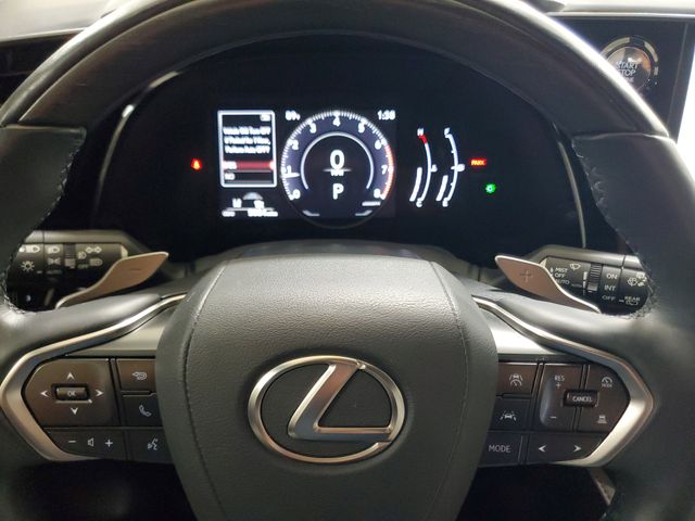 2024 Lexus RX 350 Premium photo 12
