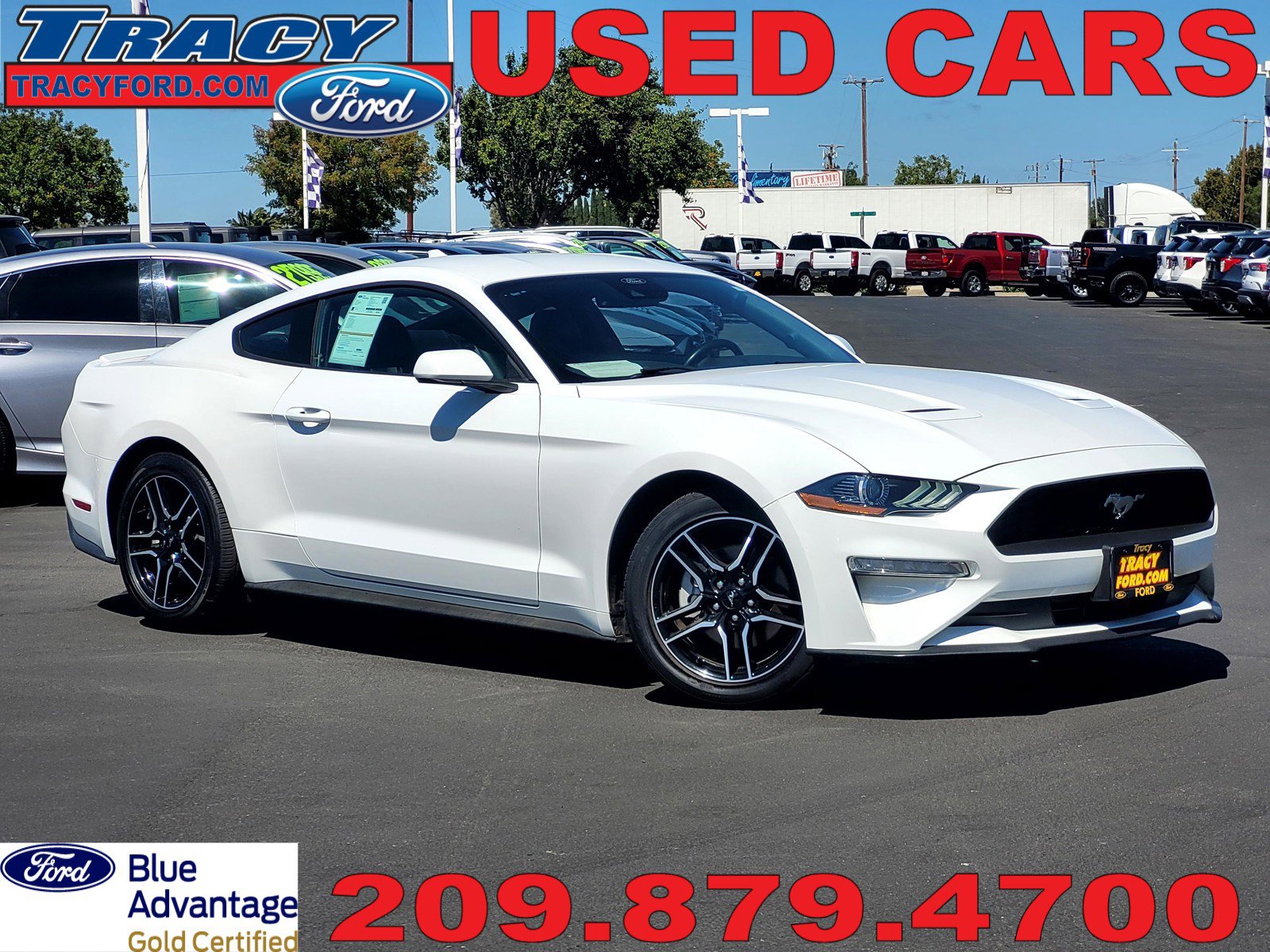 2023 Ford Mustang EcoBoost Premium