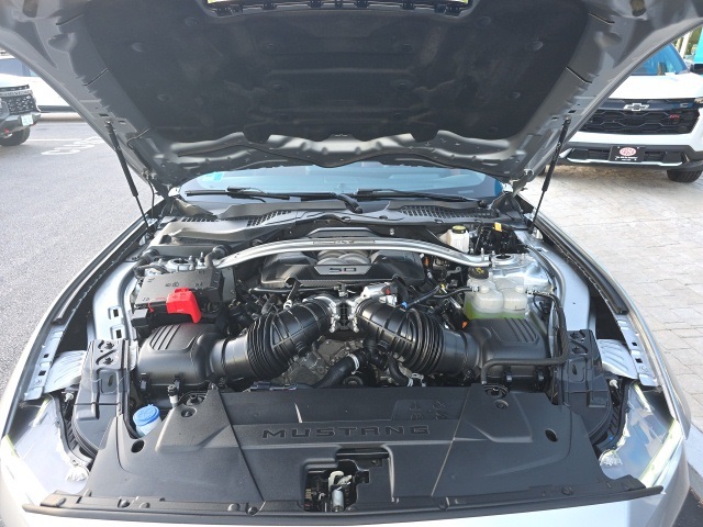 2024 Ford Mustang GT Premium photo 3