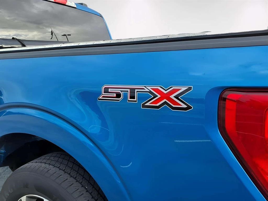 2021 Ford F-150 XL photo 4