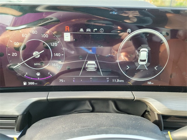 2025 Kia Telluride SX X-Line photo 17