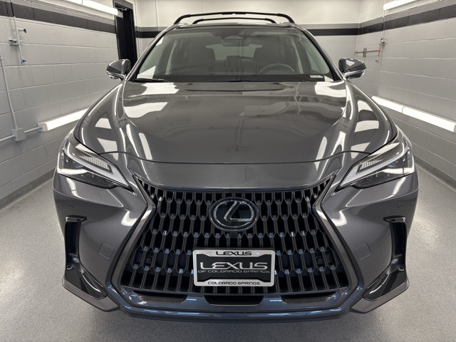 2025 Lexus NX 350 Premium photo 5